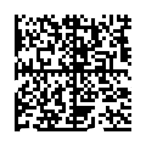 Data Matrix code with missing timing modules and slight finder damage