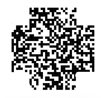 QR code missing all finder patterns and the alignment pattern