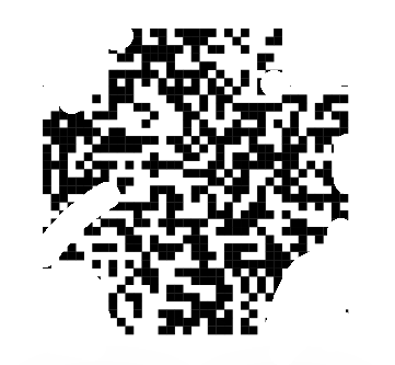QR code missing all locating patterns with random damage across its data