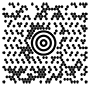 MaxiCode