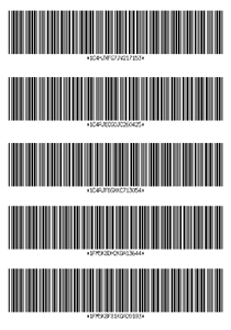Page with several Code 39 VIN barcodes for multi-scanning