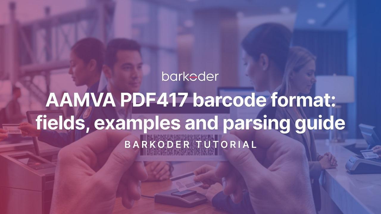 AAMVA PDF417 Barcode Format: Fields, Examples and Parsing Guide