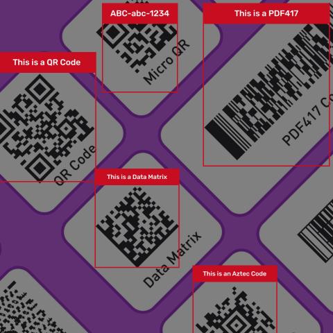 AR visuals sample: red bounding boxes and labels drawn around each detected barcode