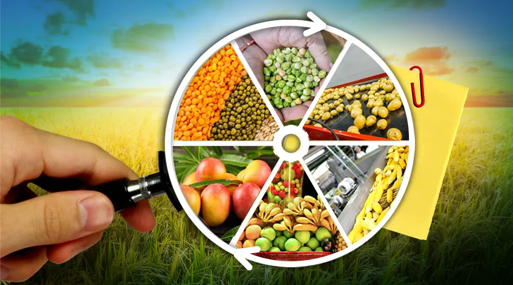 Magnifier over a food supply wheel from crops to processing, illustrating traceability