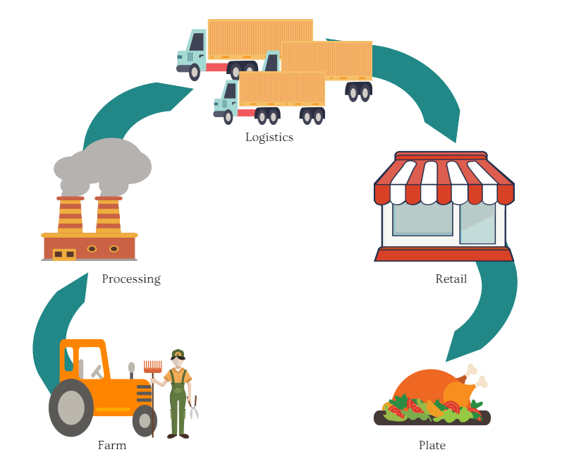 The importance of Barcodes in Food Processing and Traceability